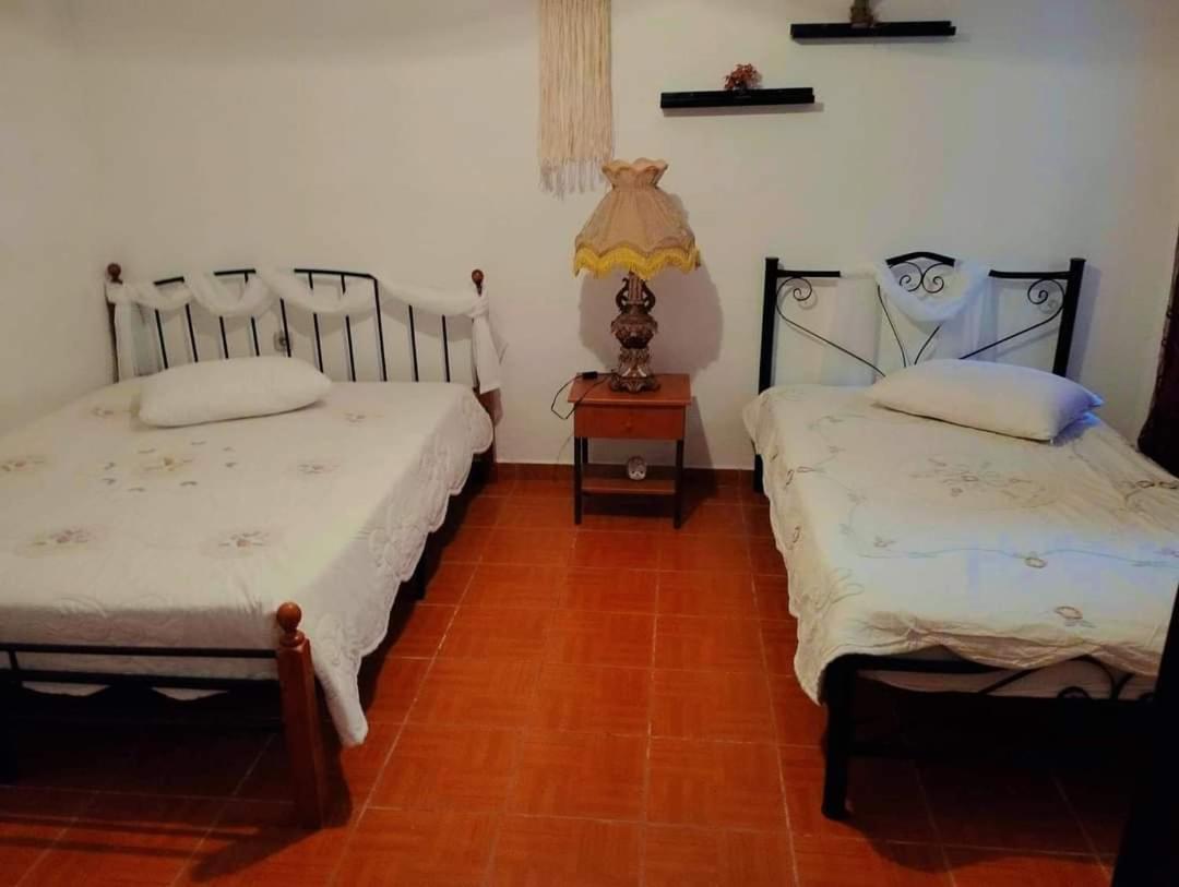 Villa Konstantina Néa Skióni Eksteriør bilde